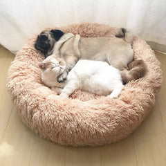 Softy dog ​​or cat bed