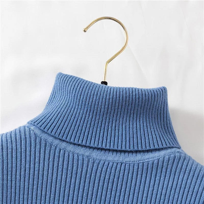 Isobar turtleneck sweater