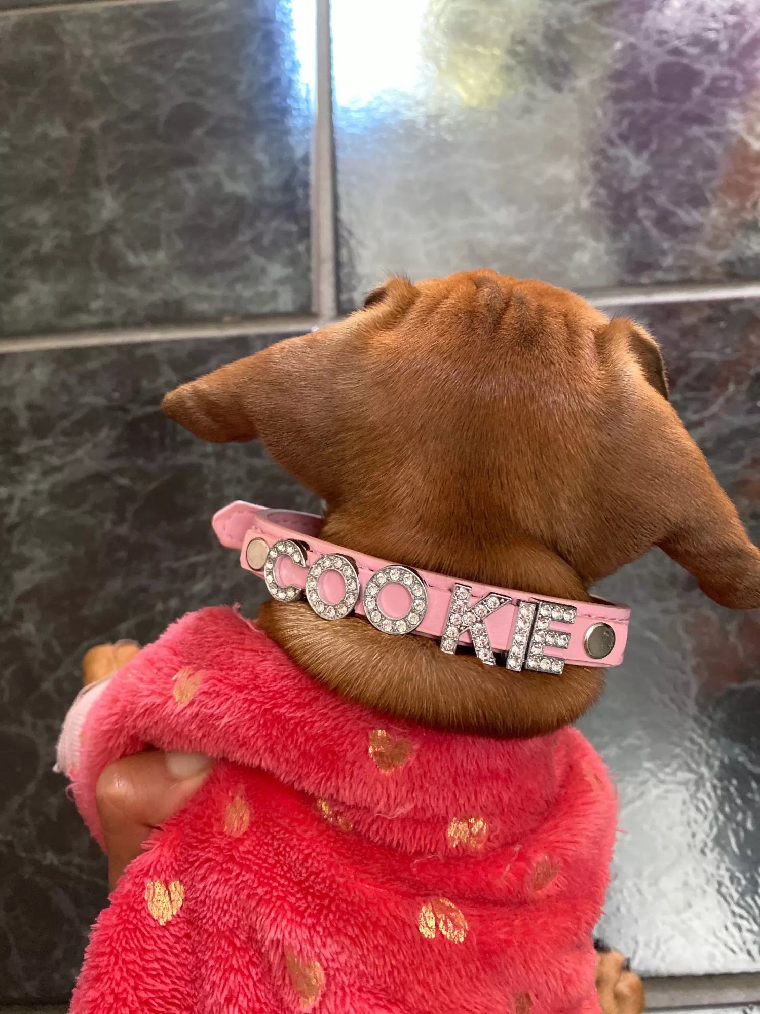Rhinestone collar for personalized dog