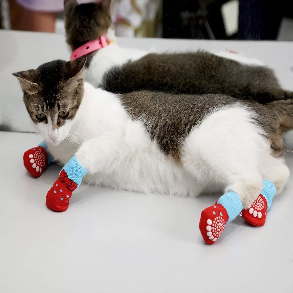 Non-slip socks for dogs and cats
