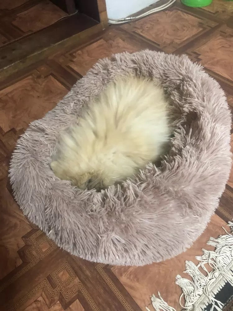 Softy dog ​​or cat bed