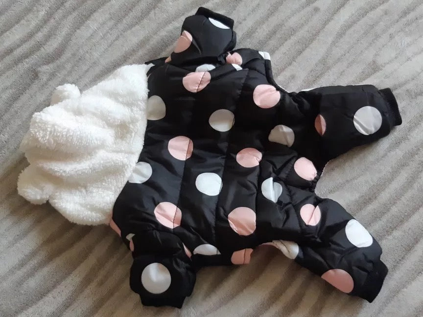 Pois jacket for small dog
