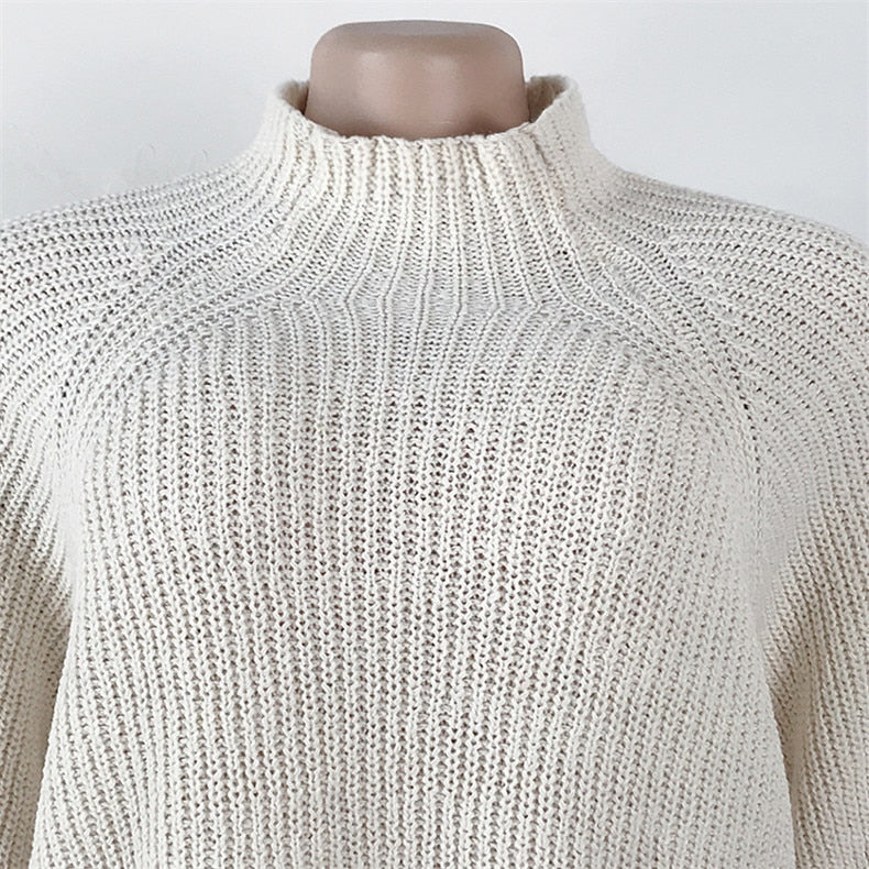Kleo turtleneck sweater