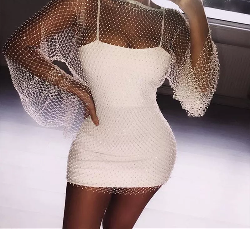 Posser mesh dress with long
