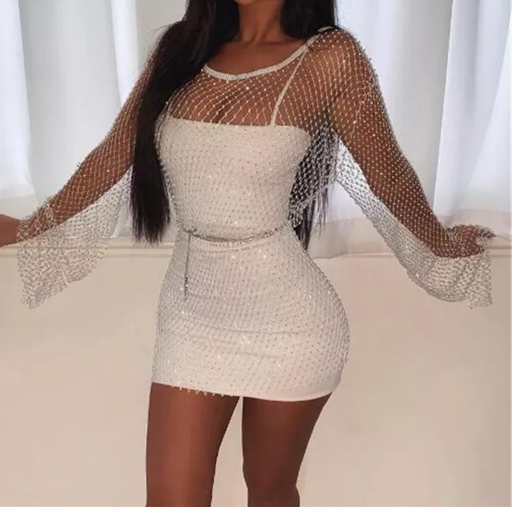 Posser mesh dress with long